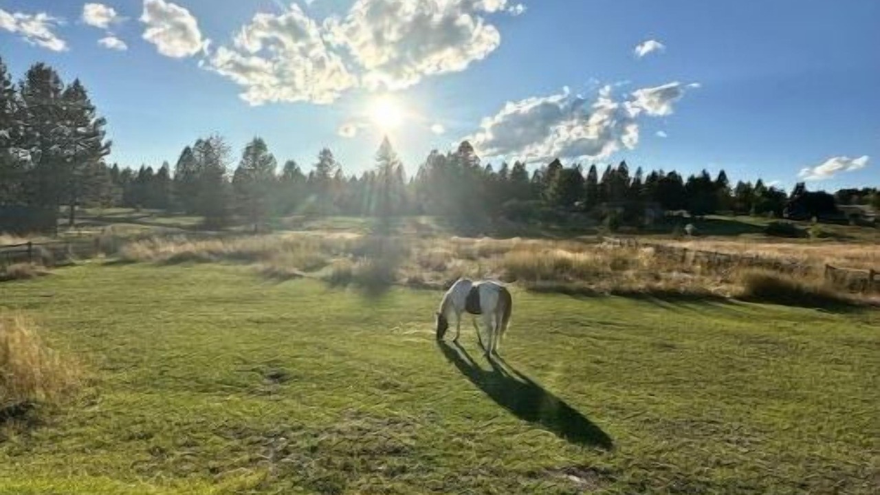 Photo of Others in Frenchtown