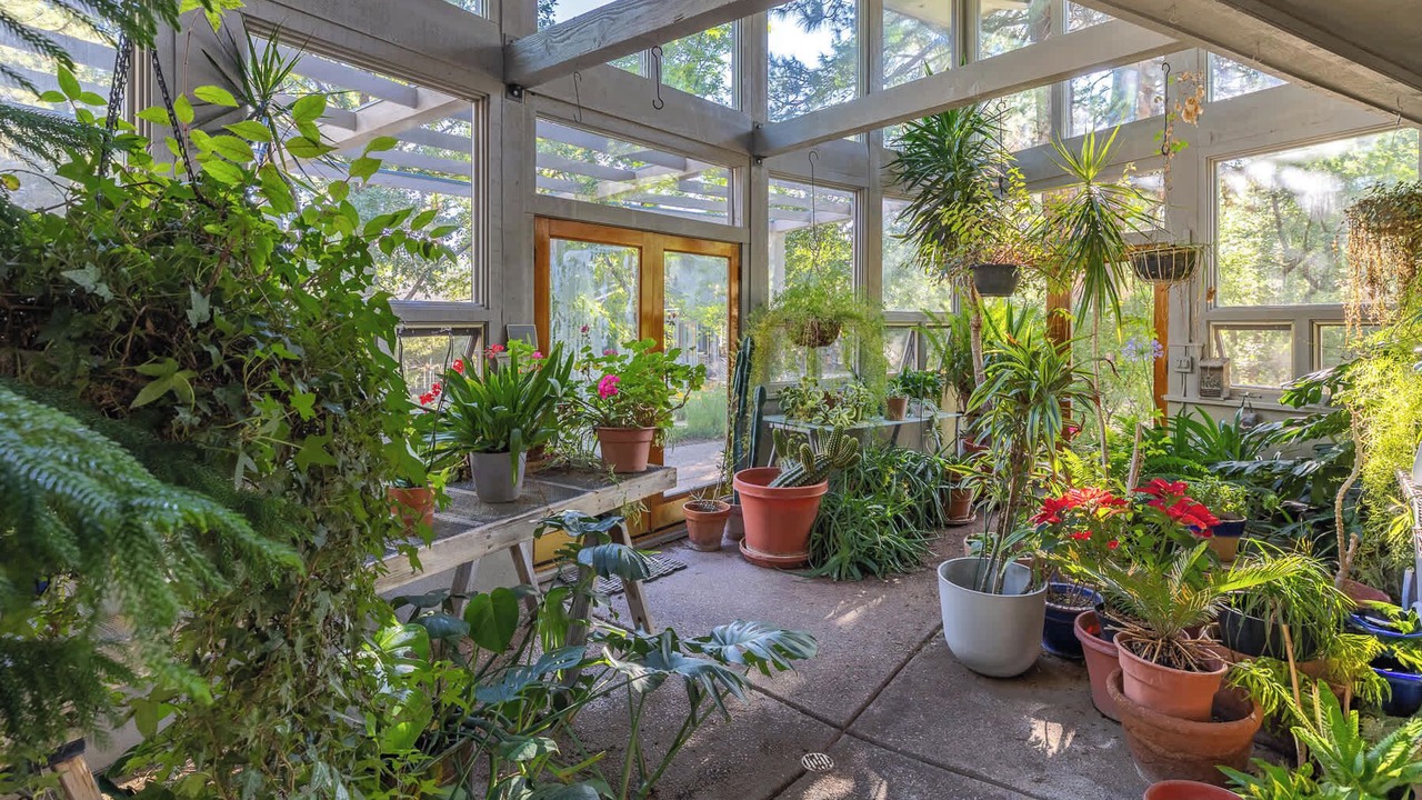 Photo of Patio Balcony in Shadow Mountain