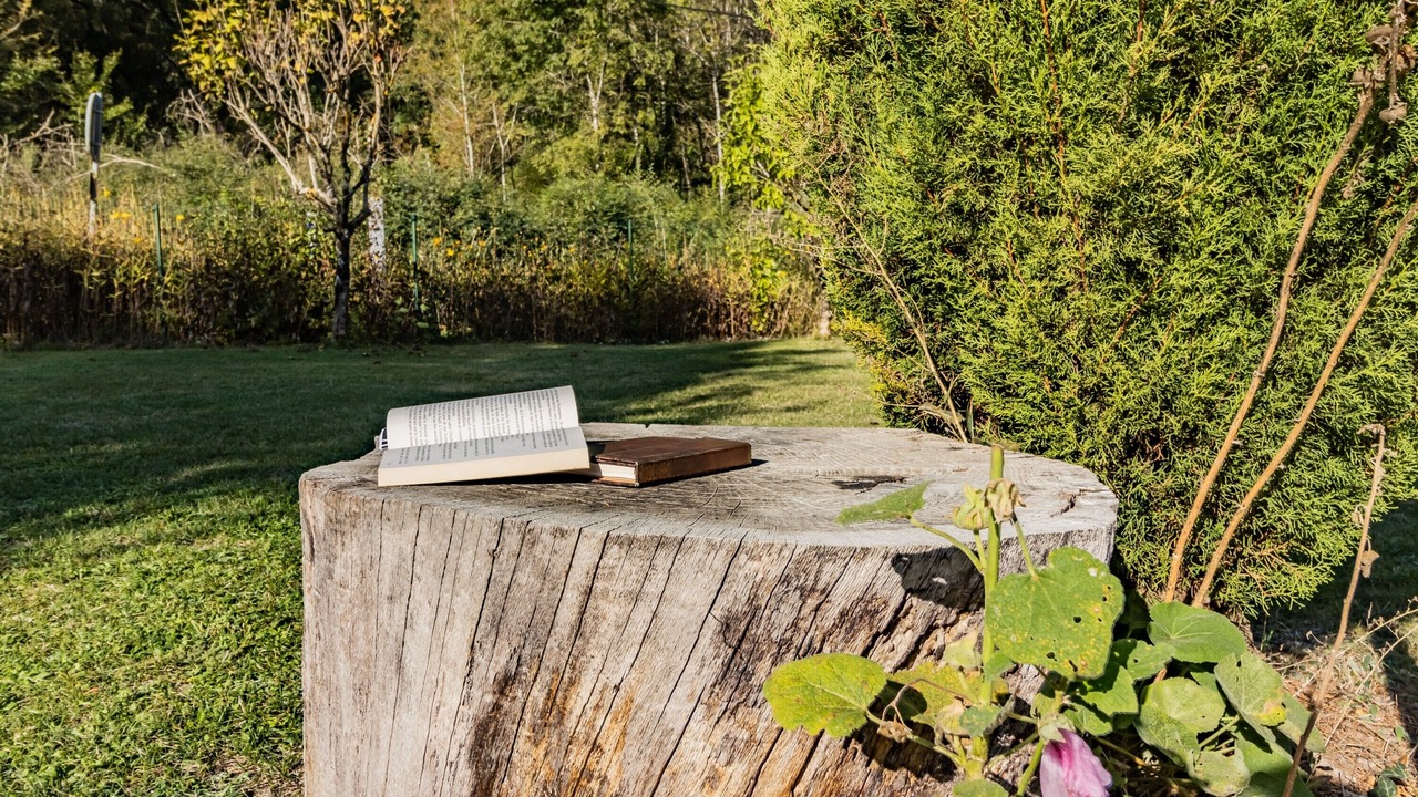 Photo of Outdoor in Montrem