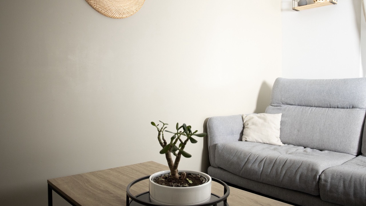 Photo of Livingroom in Nemours
