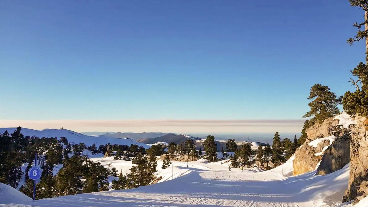 Photo of Others in Aste