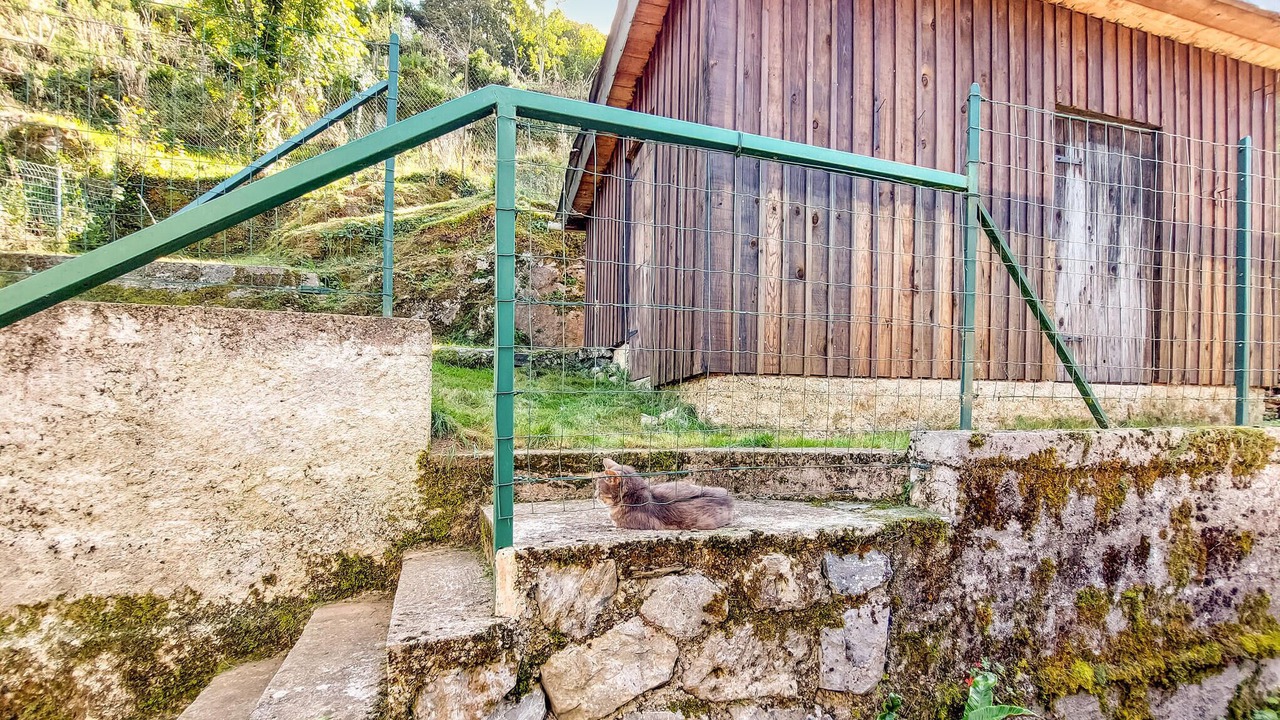 Photo of Others in Aste