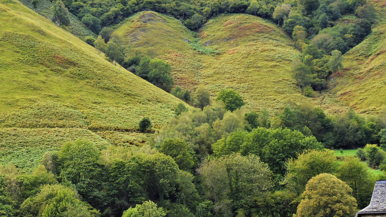 Photo of Others in Aste