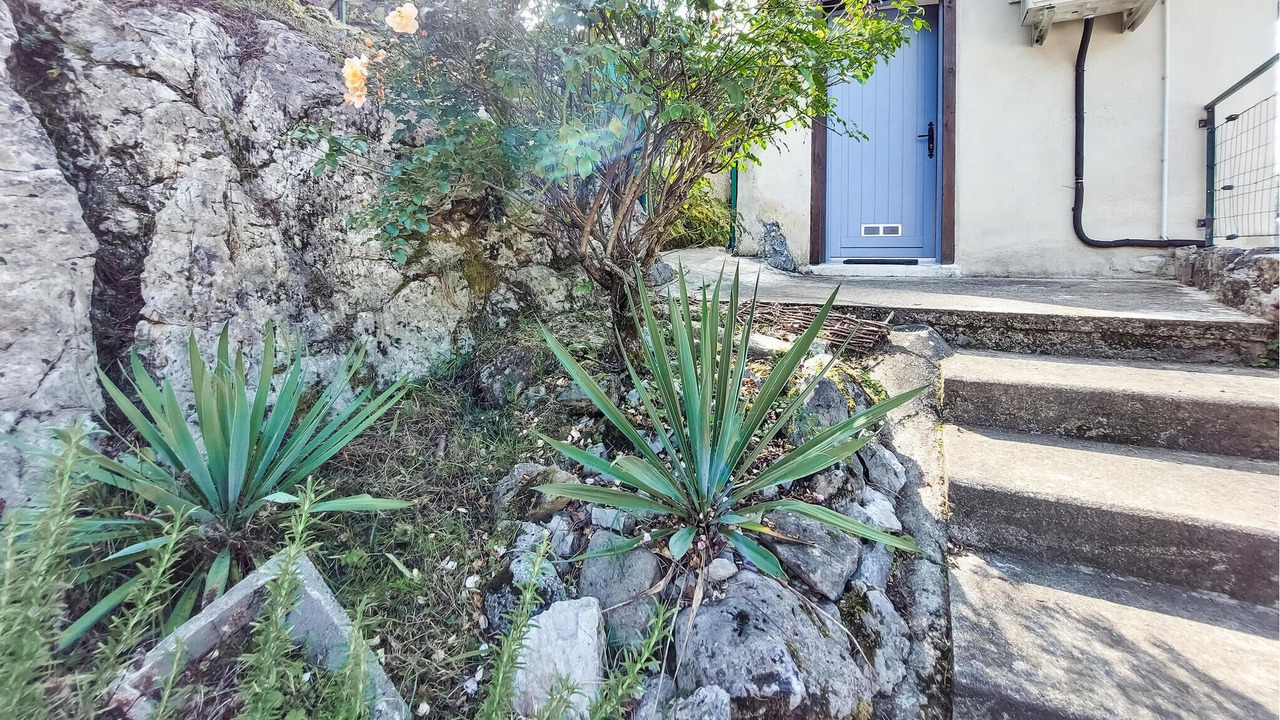 Photo of Others in Aste