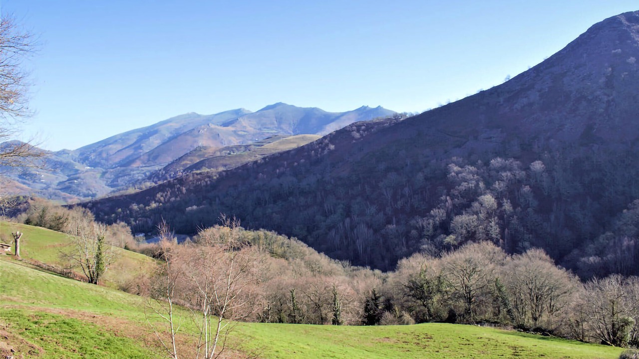 Photo of Bedroom in Aste