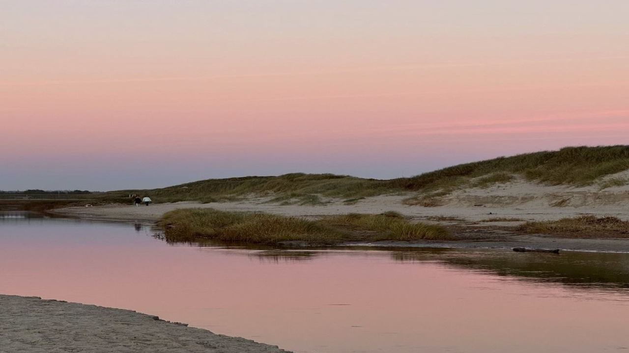 Photo of Outdoor in Henne Strand