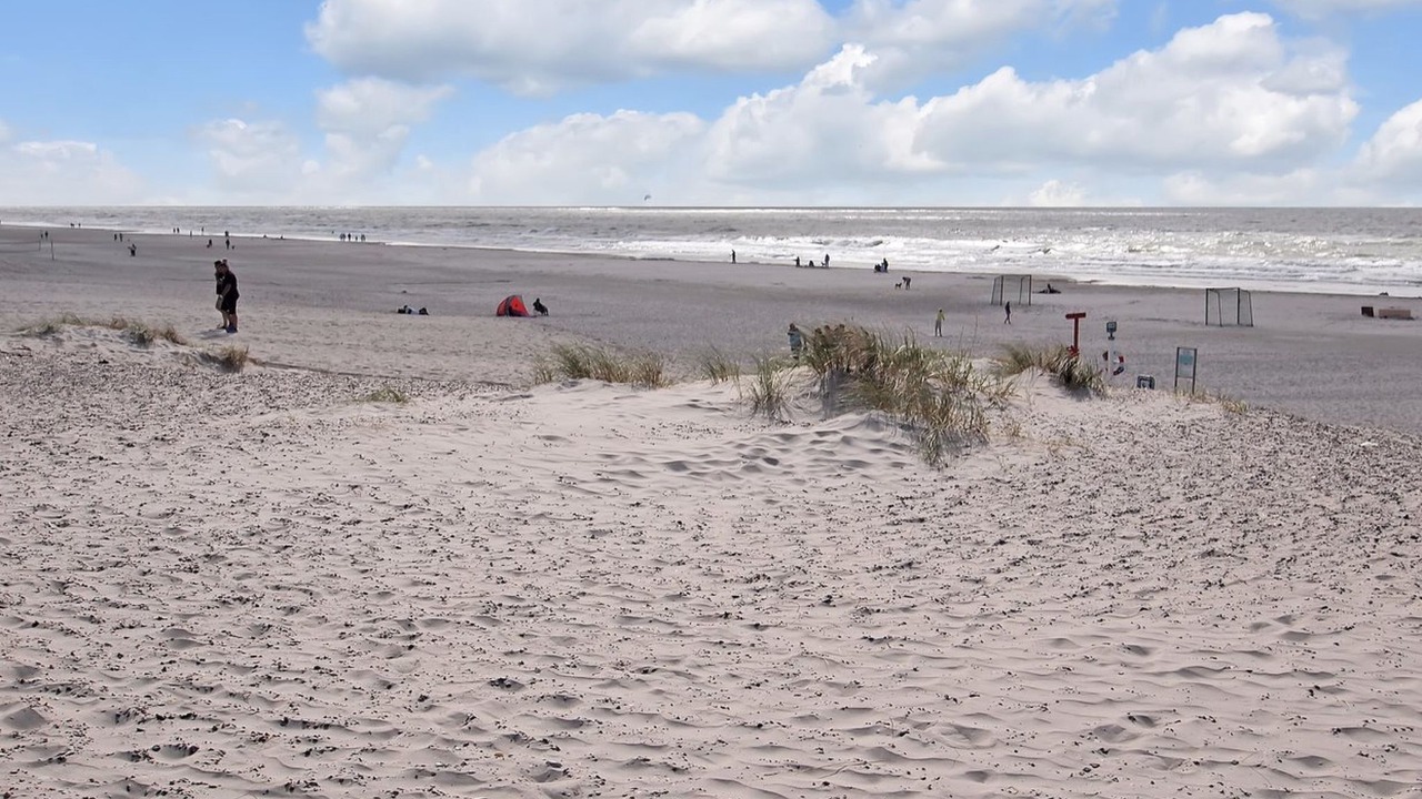 Photo of Outdoor in Henne Strand
