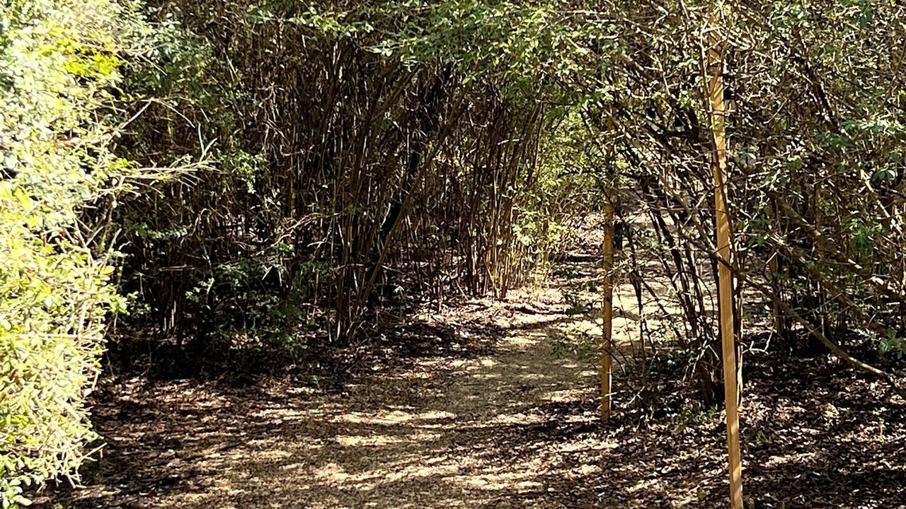 Photo of Outdoor in Celeste