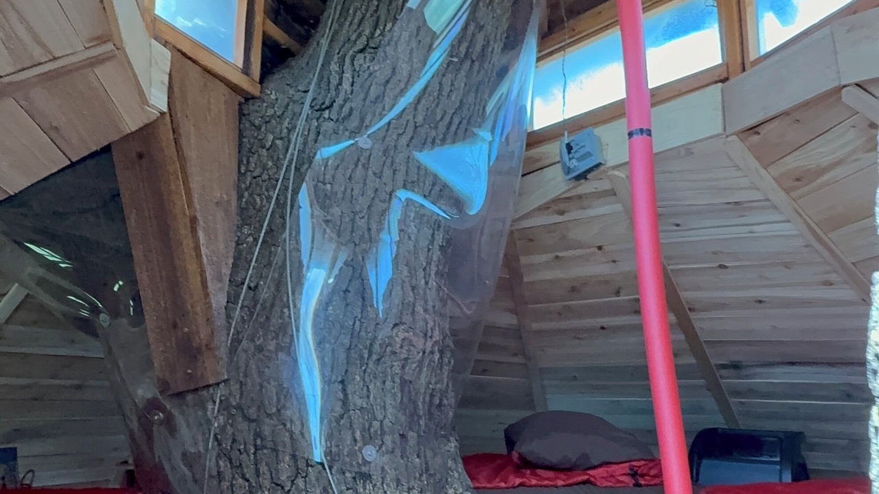Photo of Bedroom in Celeste