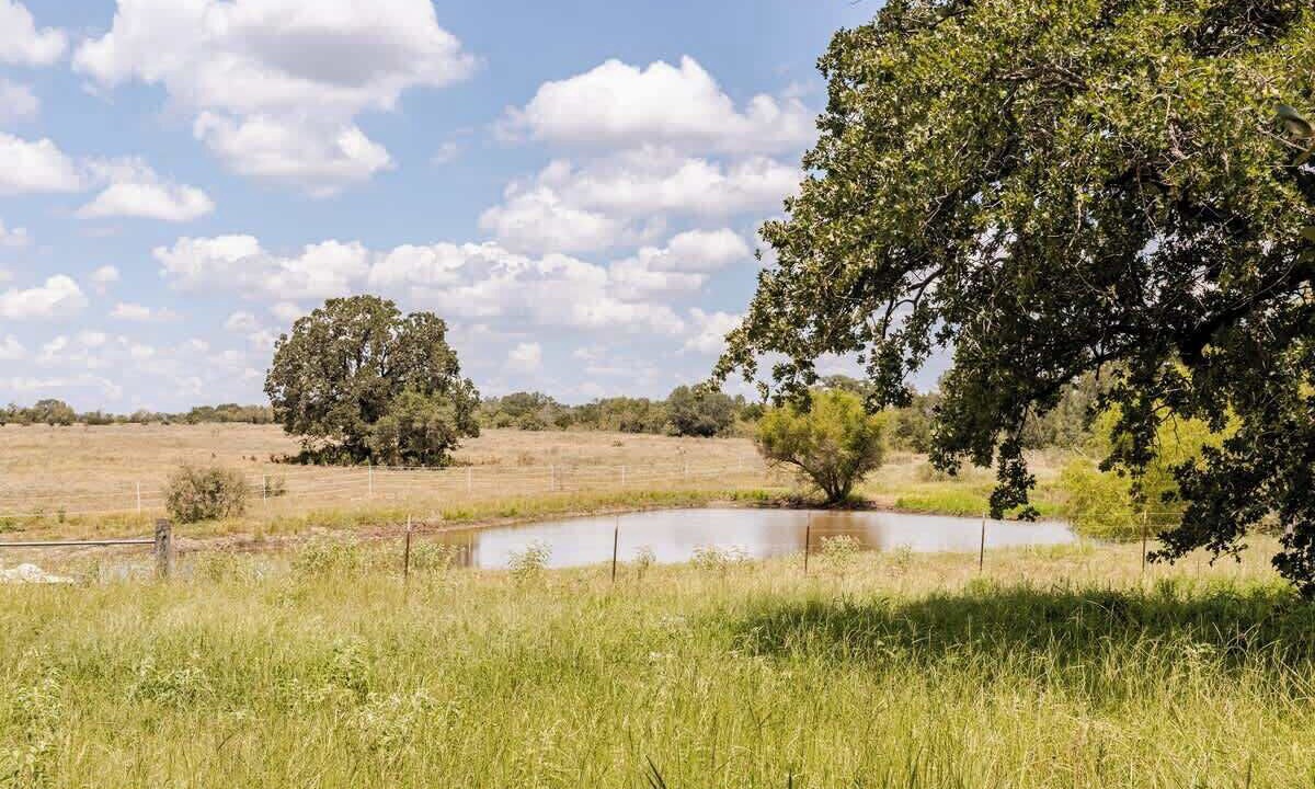 Photo of Others in Cedar Creek