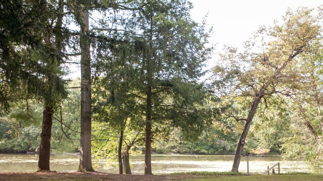 Photo of Outdoor in Mount Marion