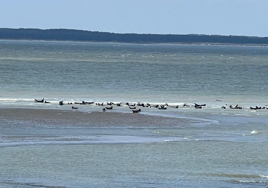 Photo of Others in Le Treport