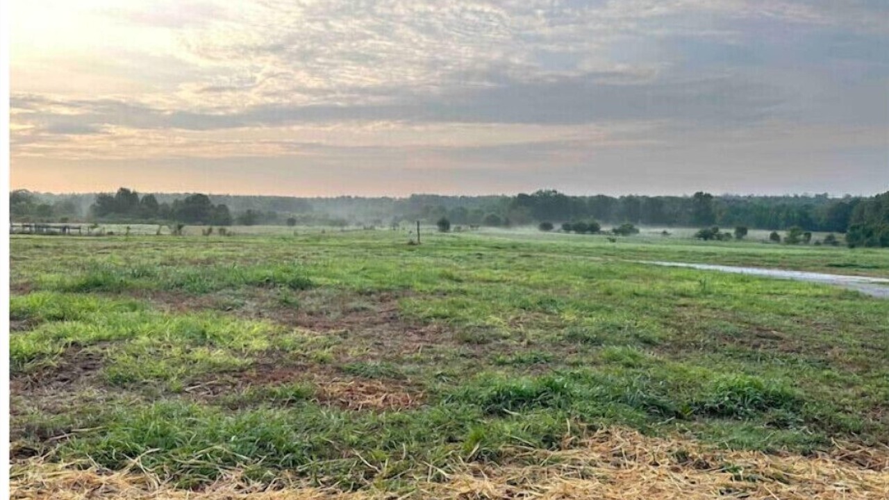 Photo of Outdoor in Eatonton