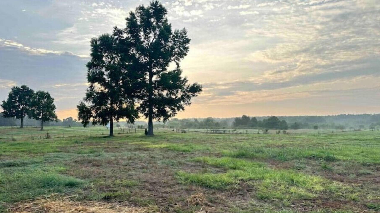 Photo of Outdoor in Eatonton