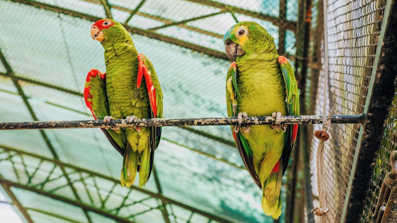 Photo of Others in Epernay