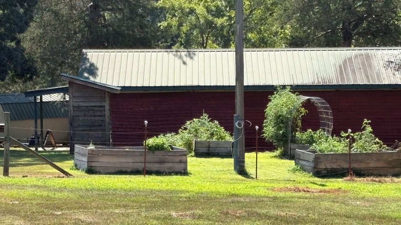 Photo of Outdoor in Pleasant Grove