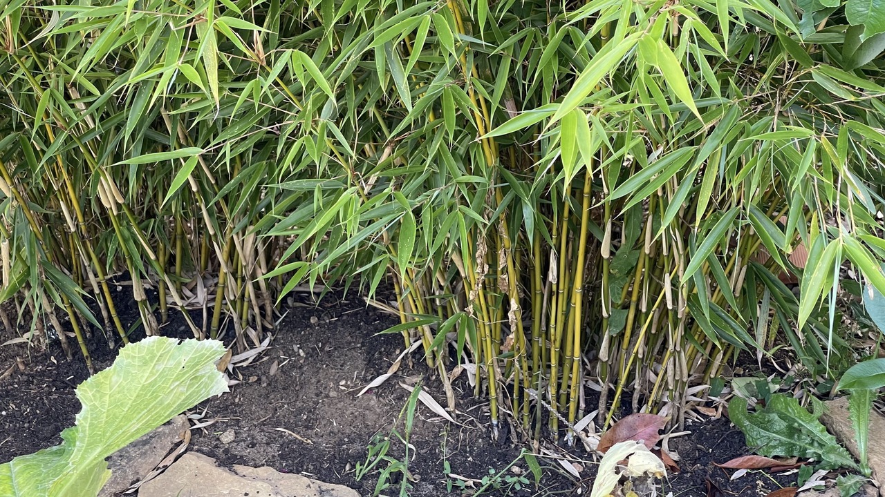 Photo of Outdoor in Figeac