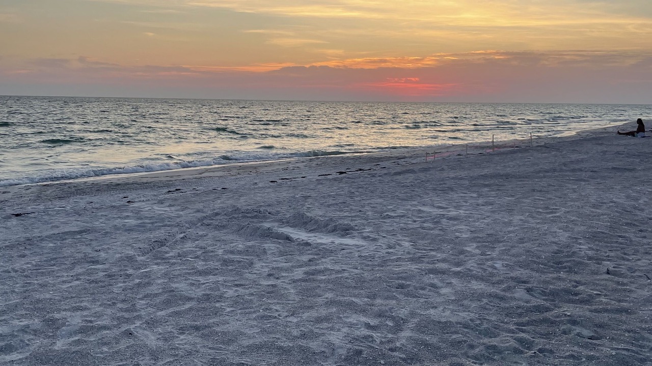 Photo of Others in Bay Isles