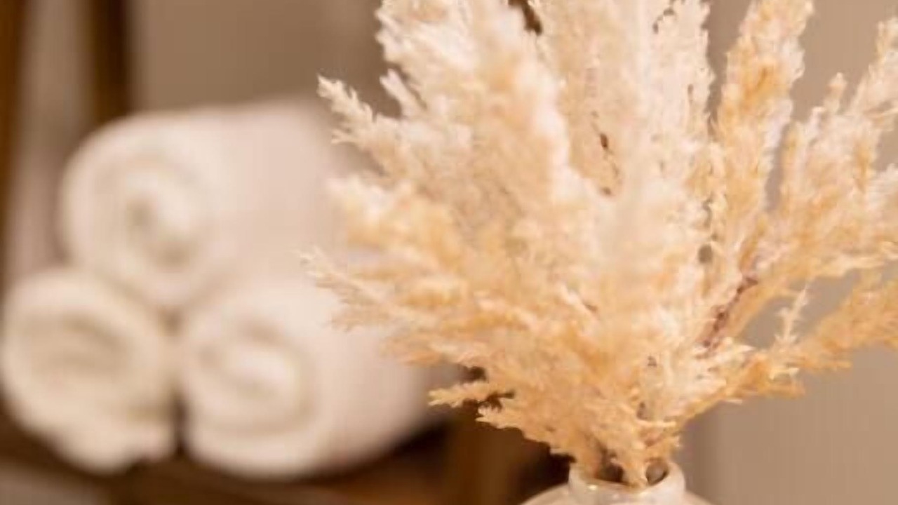 Photo of Others in Mount Vernon