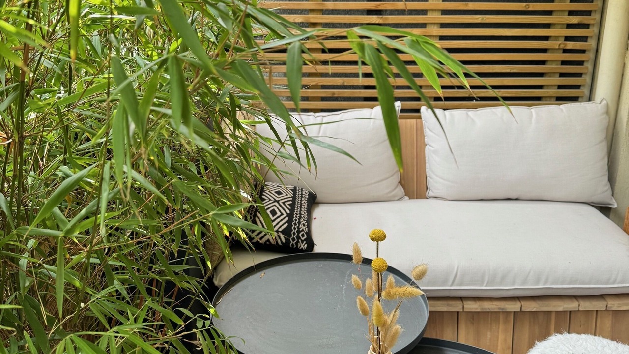 Photo of Patio Balcony in Quartier des Grandes-Carrieres