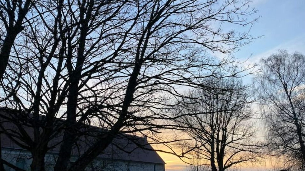 Photo of Outdoor in Verdelot