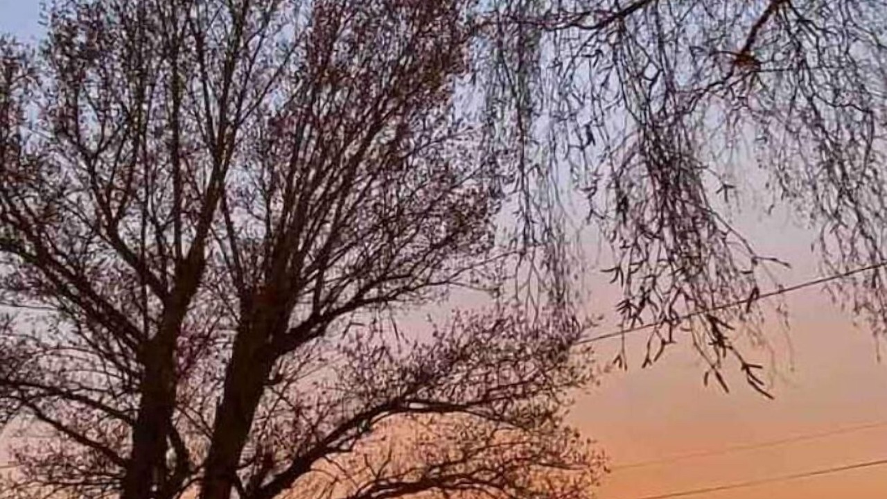 Photo of Outdoor in Verdelot