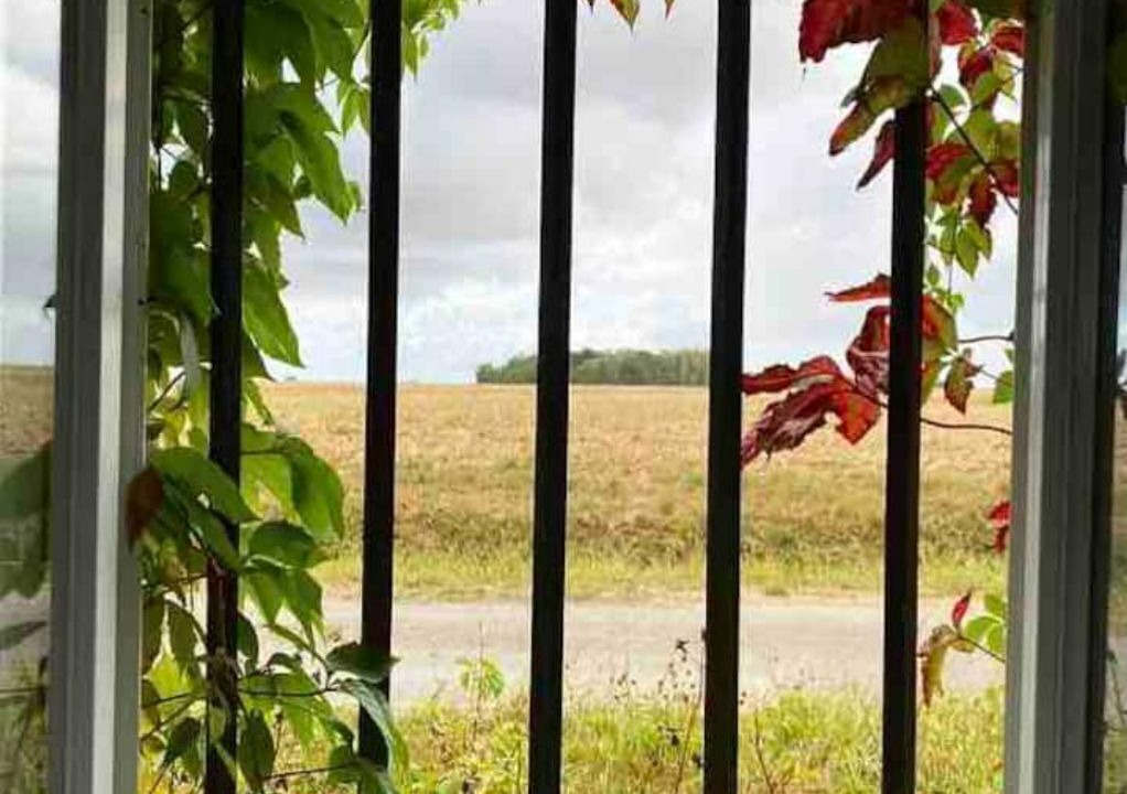 Photo of Others in Verdelot