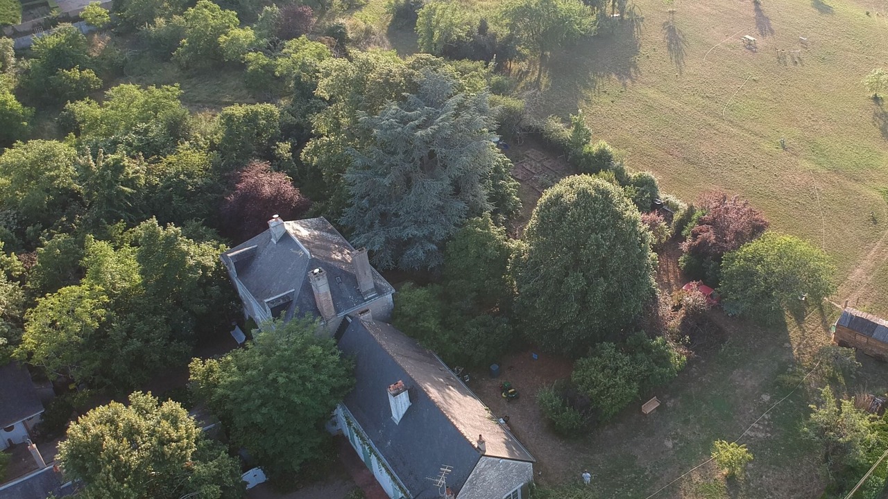 Photo of Outdoor in Saint-Dye-sur-Loire