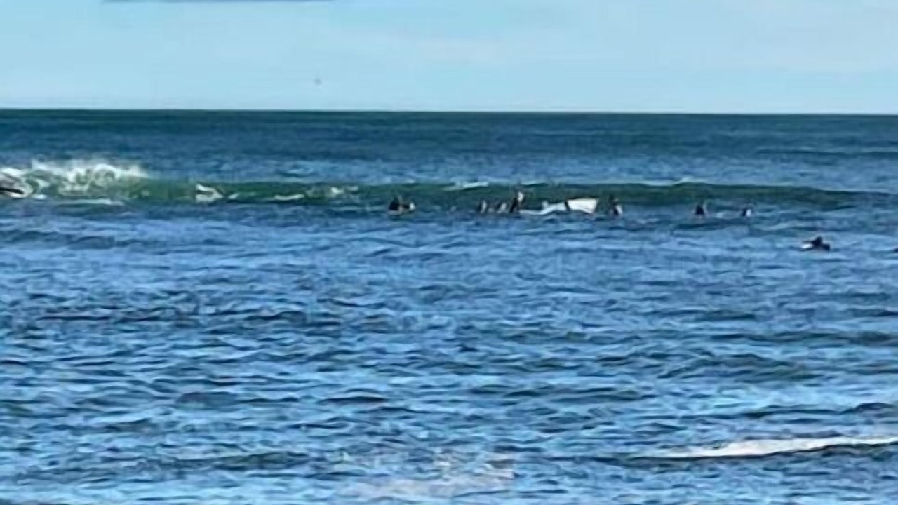 Photo of Others in Cape Elizabeth