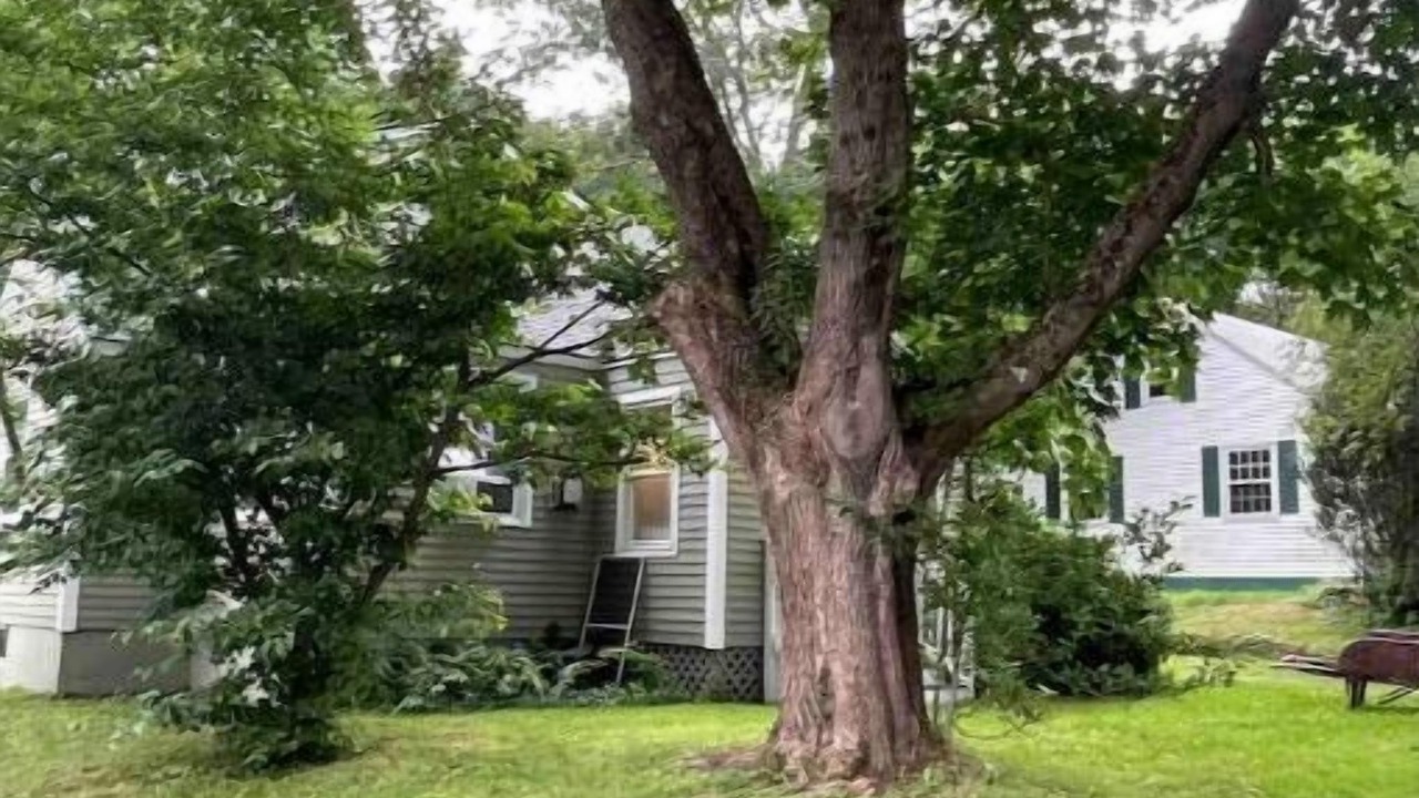 Photo of Outdoor in Cape Elizabeth