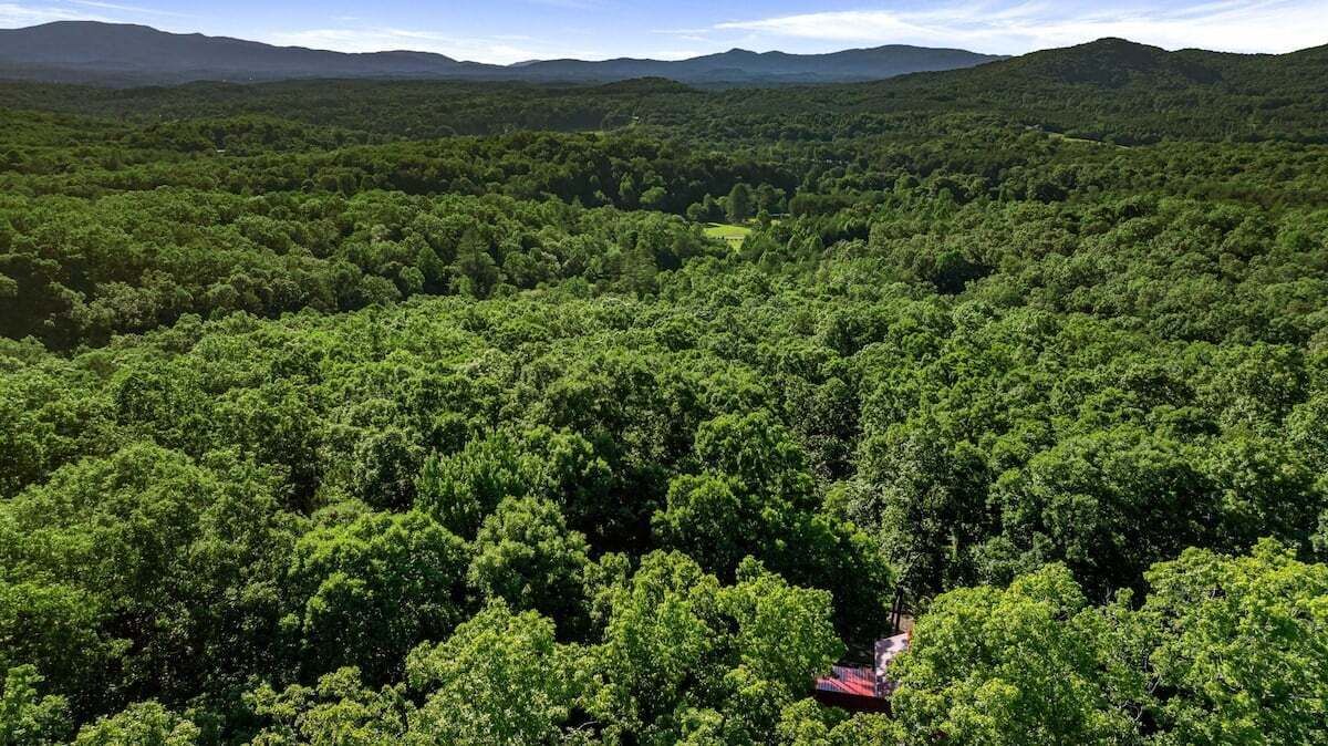 Photo of Others in Mineral Bluff