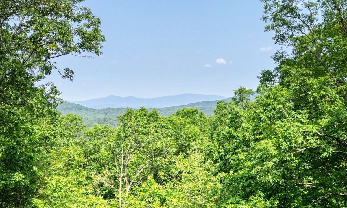 Photo of Others in Mineral Bluff