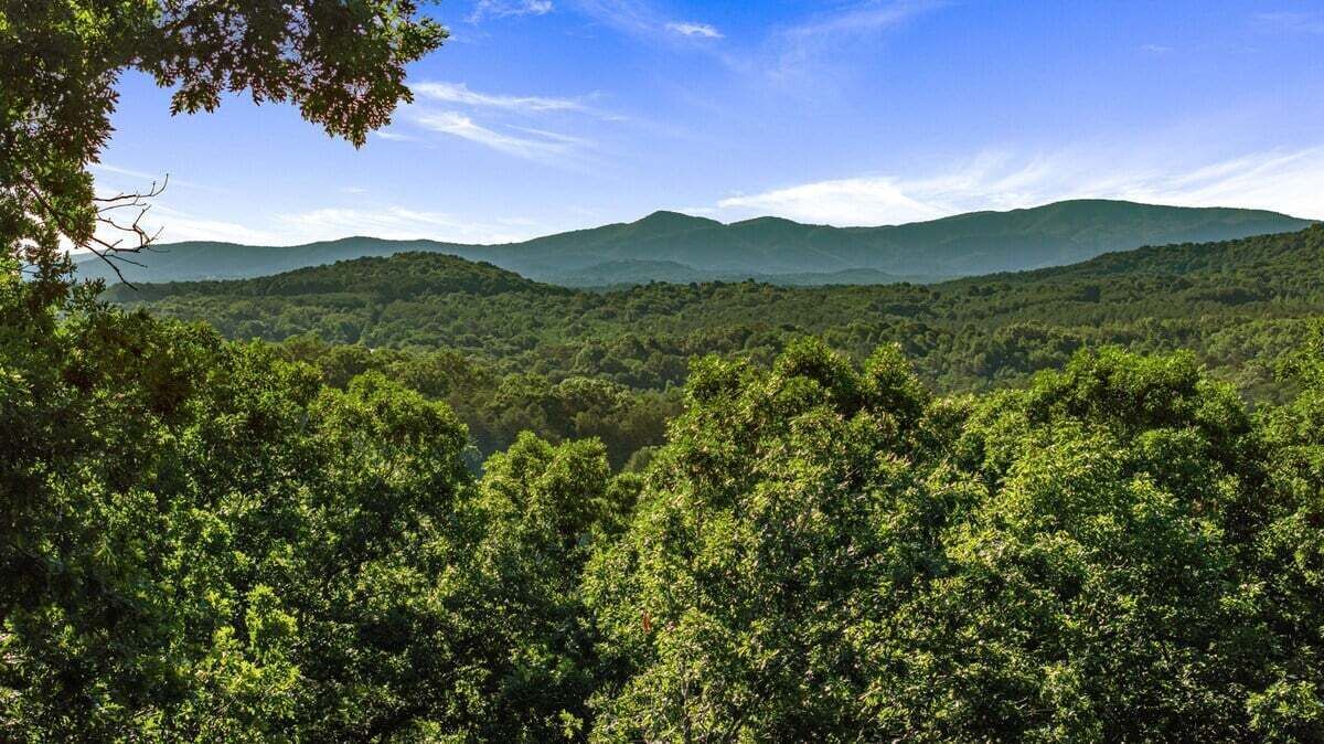 Photo of Others in Mineral Bluff