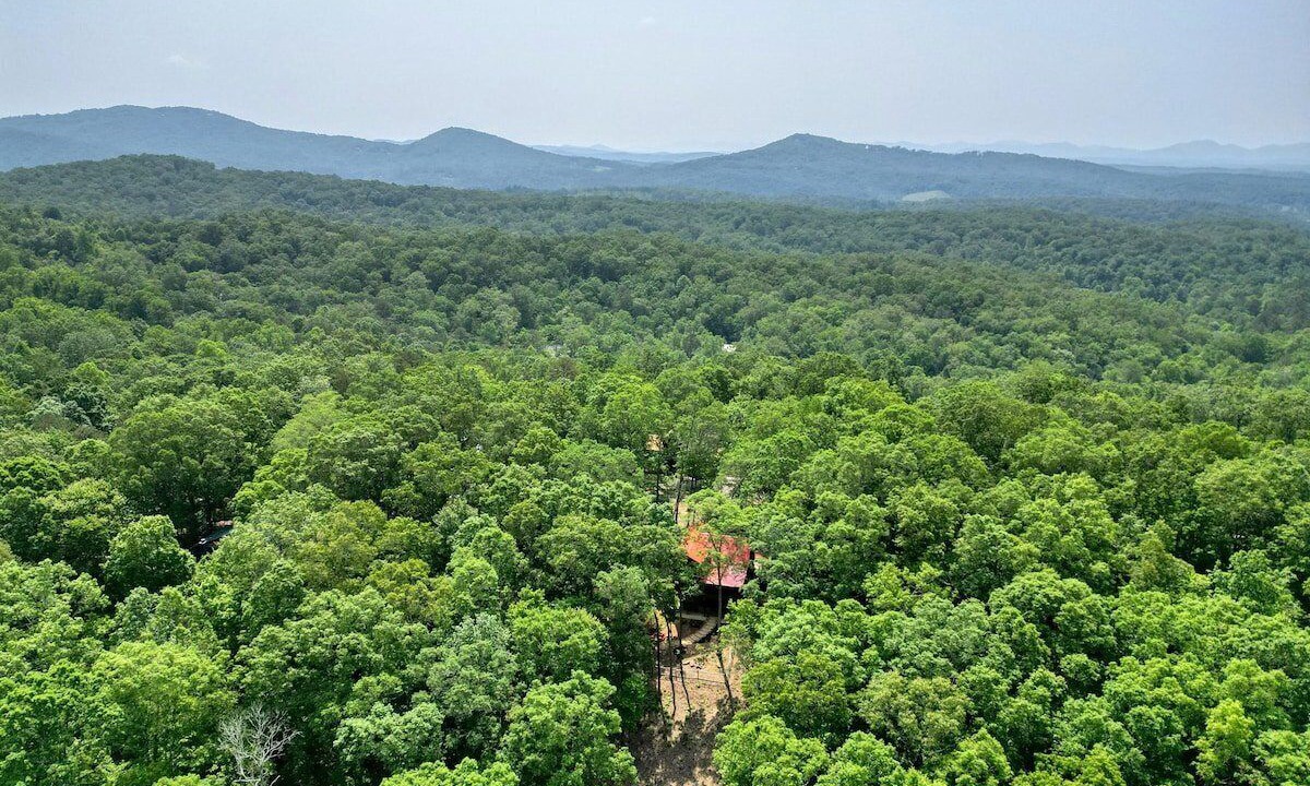 Photo of Others in Mineral Bluff