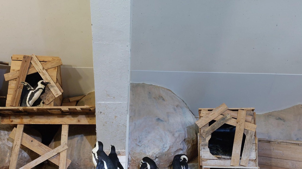 Photo of Others in Desvres