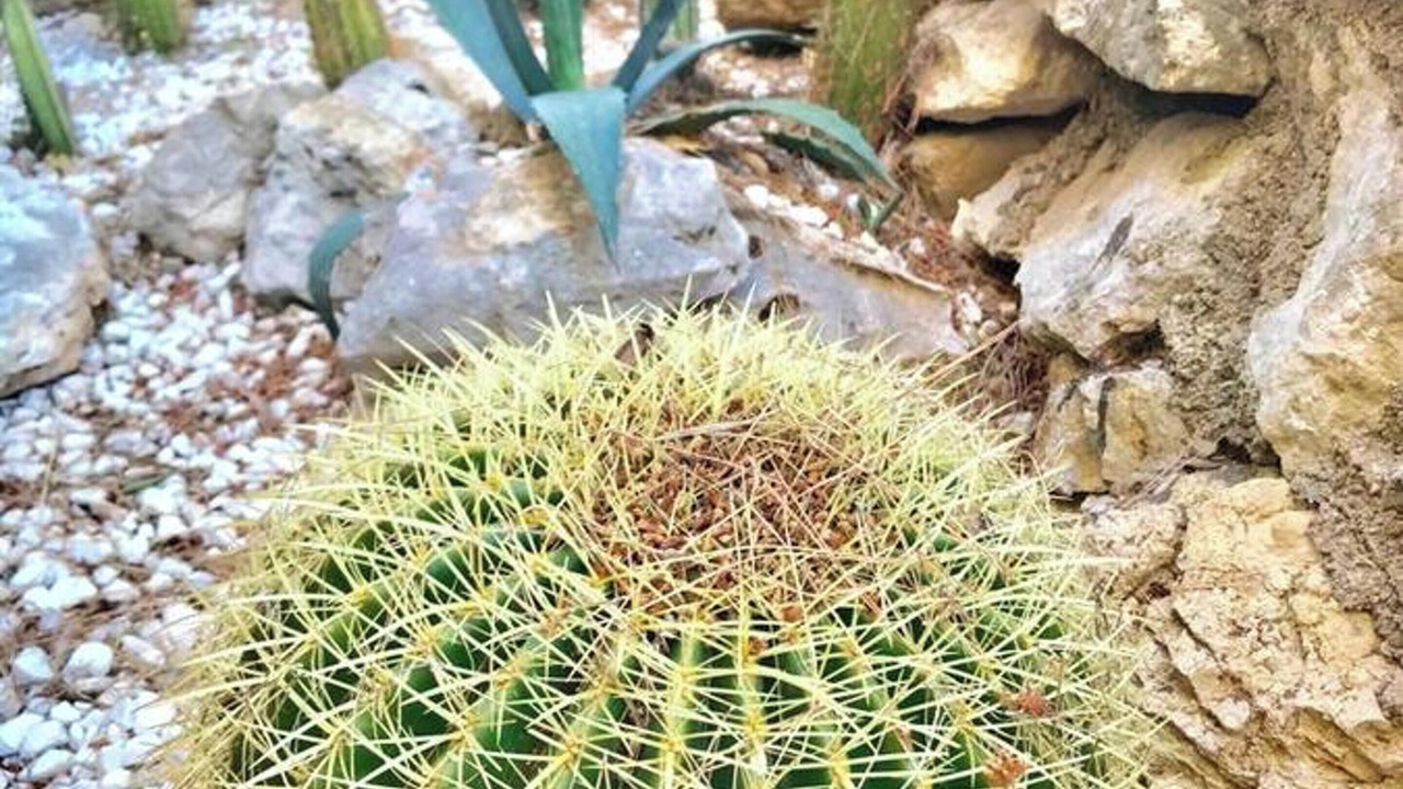 Photo of Outdoor in El Vendrell
