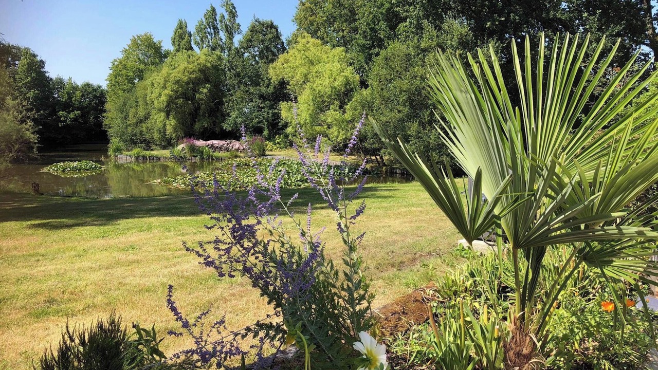 Photo of Outdoor in Saint-Georges-de-Pointindoux
