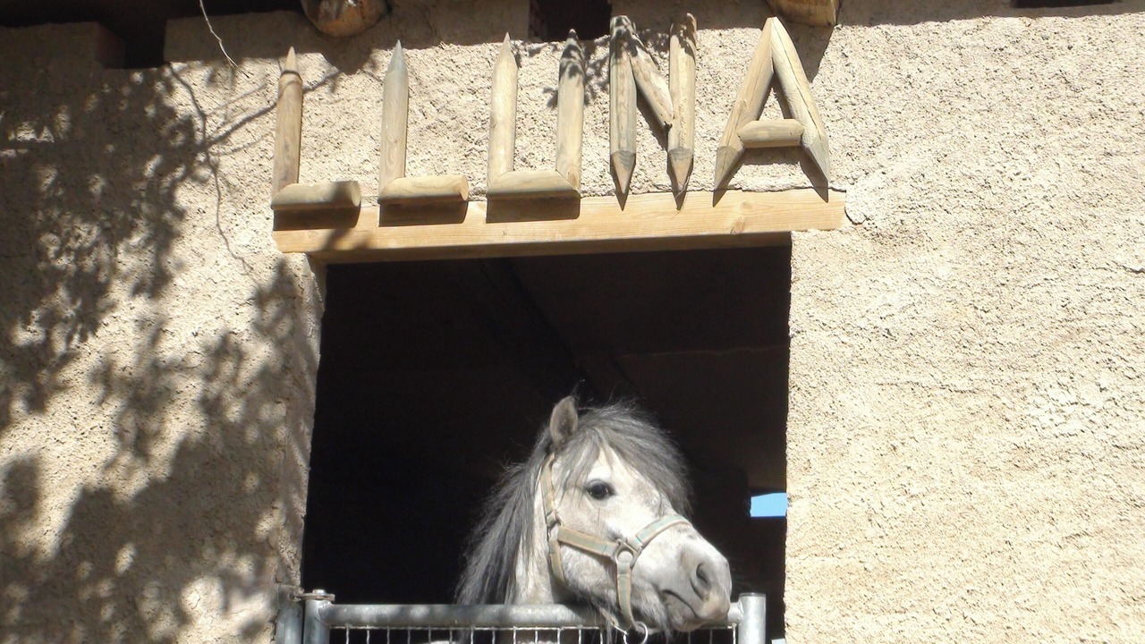 Photo of Others in Llobera