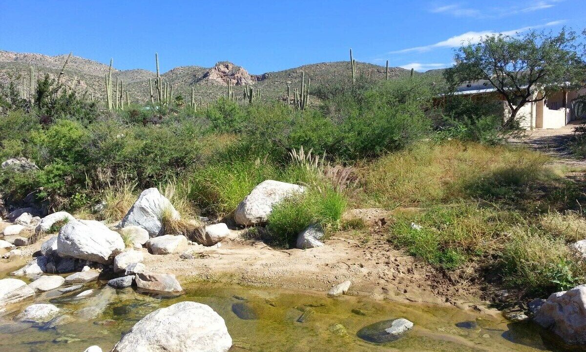 Photo of Others in Tucson