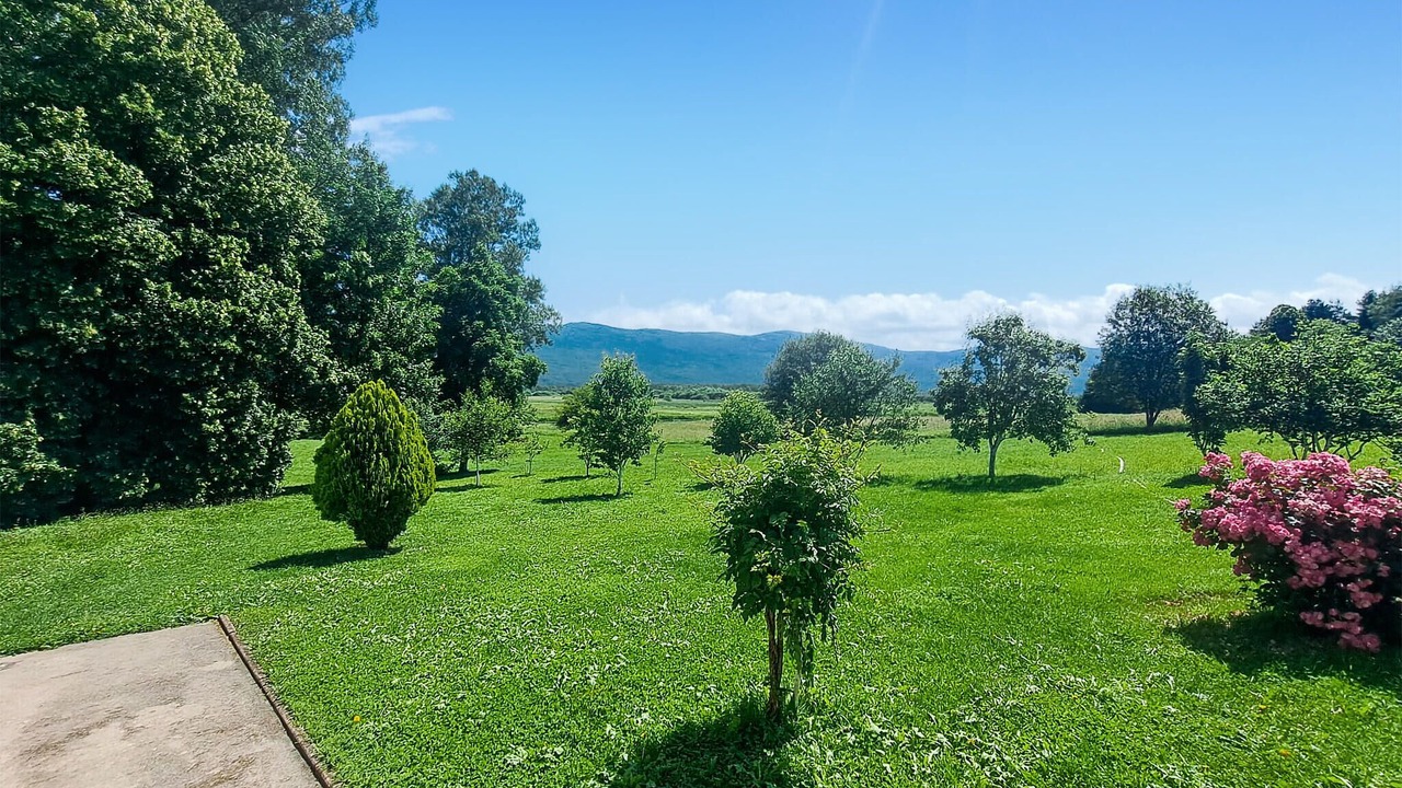 Photo of Others in Licko Lesce