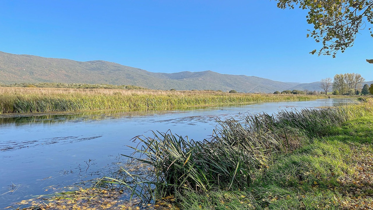 Photo of Others in Licko Lesce