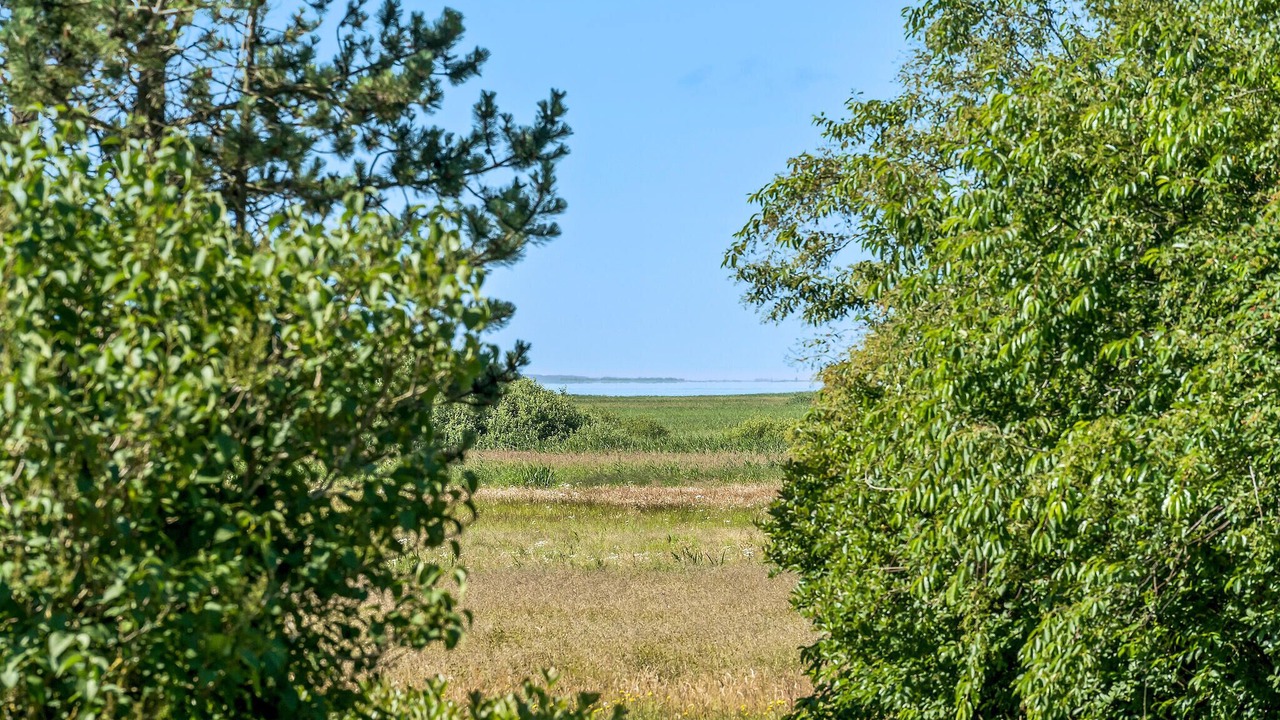 Photo of Bedroom in Skjern