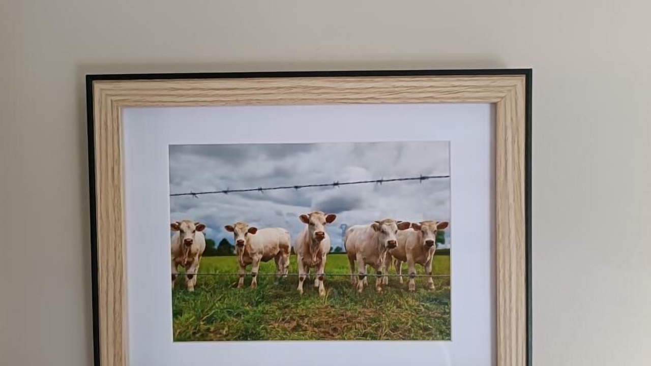 Photo of Others in Genelard