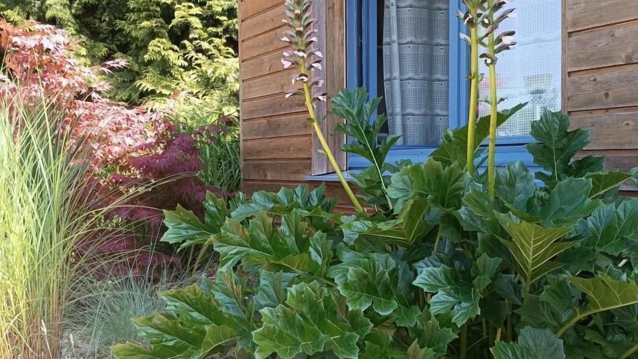 Photo of Outdoor in Genelard