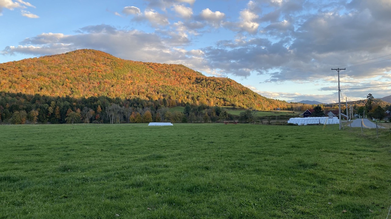 Photo of Outdoor in Richmond