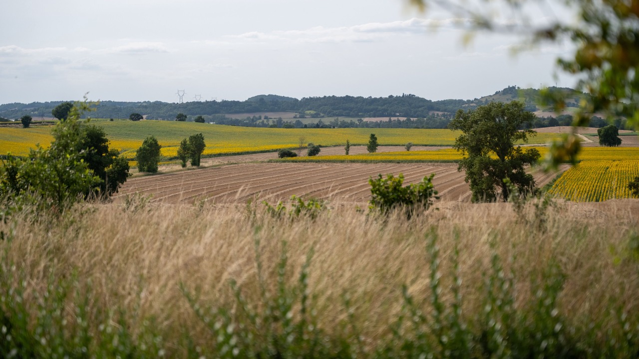 Photo of Others in La Pomarede