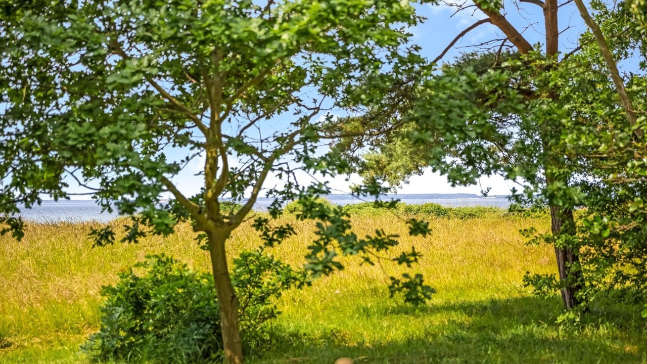 Photo of Outdoor in Kegnæshøj