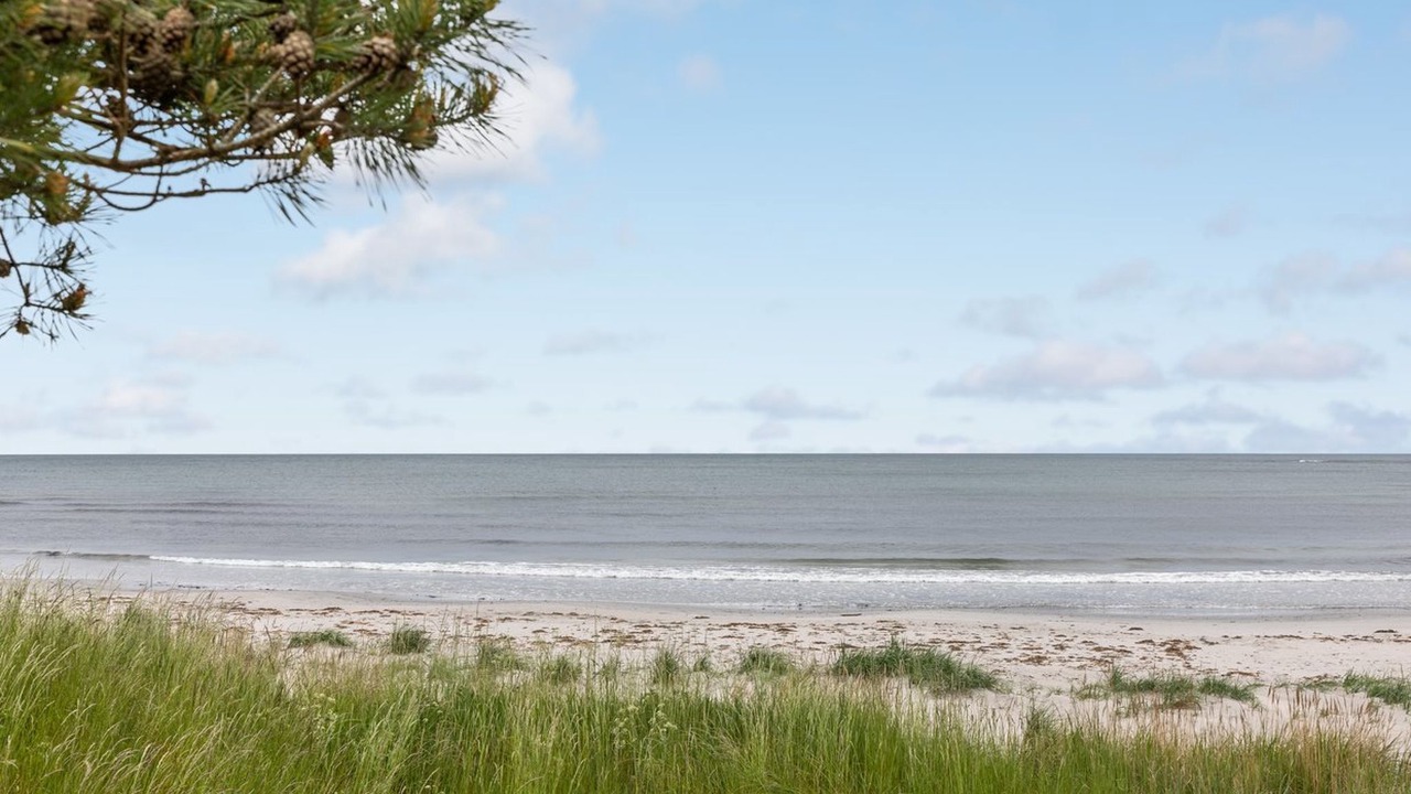 Photo of Outdoor in Bedegaard