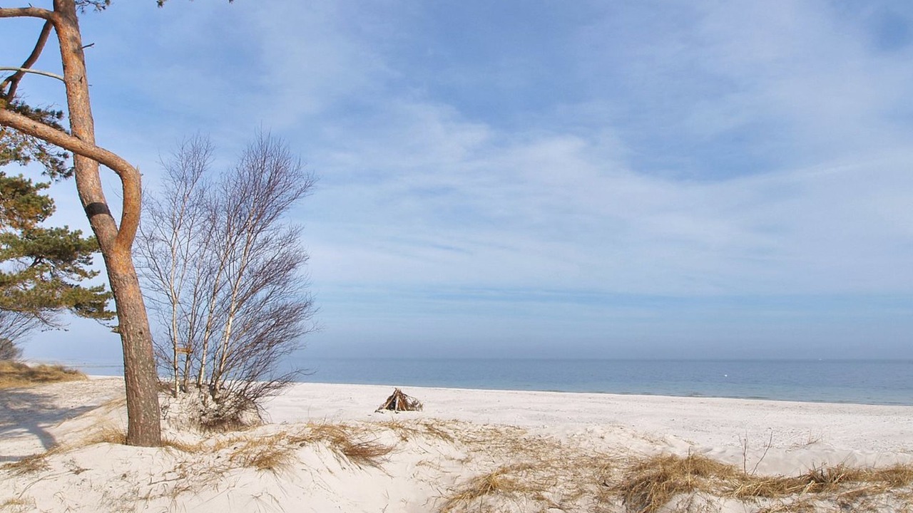 Photo of Outdoor in Bedegaard