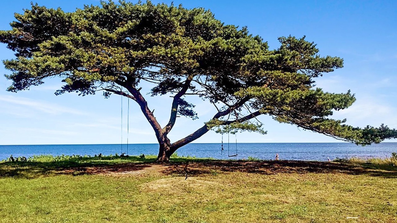 Photo of Outdoor in Bedegaard